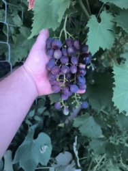 20212d57-b092-4892-bef3-c15fcebf5ca5