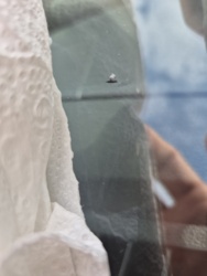 3d372daf-3460-4efa-a3bd-2ef62c9746f7