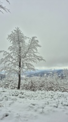 4d0fcf61-2124-43f2-a00e-e35dd7403409