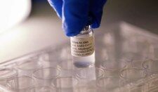 Szczepionka Corbevax to "dar dla świata" - darmowy i skuteczny