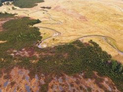 e9ffc23d-10d1-4589-9372-fff0924ffbef