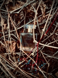 d4cd3cd7-129d-4e85-a8e4-bd95950523e6