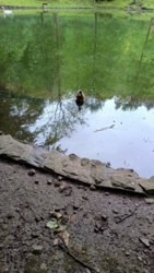 46d79961-17ba-4243-b032-eb1e149b8bc0