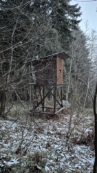 6d125713-ec0b-4c8c-b1da-d3b80041f62f