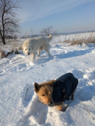 d3fc3d99-d8f6-4e34-a642-efe1bc269791