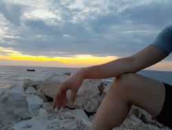 ce2e2ab1-8aea-4160-a6fb-cfe4055d42d4