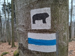 c51b22a9-44d5-49b3-8619-2dd7aa09b6e7