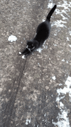 eebb5f00-010f-4594-aec3-d4b1f4b791b6