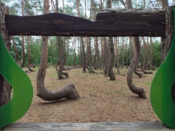 cd5e9a37-bd45-4649-8bc5-f3070b212929