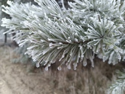 ca0bd191-8283-4e76-a496-50cc76f04144