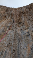 920439bc-278b-4695-9a50-9ddd0f20efe2