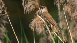 de535a3f-3863-46ea-b7bd-f3ba9ba342e6