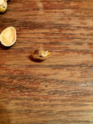 29938411-54bc-4970-8652-1ec84c23e9c9