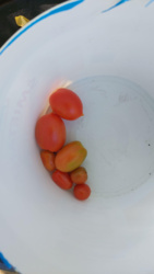 e8d520e8-beb5-48b1-be48-444b0e93abd5