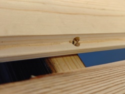 9e07f060-d11d-4162-bb41-9382e43d2ce6