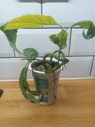 26294577-d008-4645-aa20-a82468d36bb9