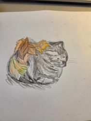 91b693db-7061-4595-a180-7902149e38fb