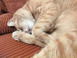 3a5513a0-361f-4b7f-94ec-cbfa0006cbb0