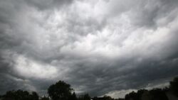 Ewakuacja obozu harcerskiego w Kostkowicach. Ponad 500 zgłoszeń skutków burz