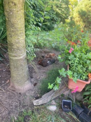 5182147c-27fa-49f2-b7f9-bb4b6f04f62e