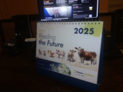 e993c033-890a-4360-aa01-cb8ef75ec74c