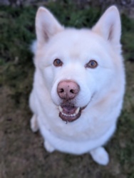 9af10c69-c444-4a39-a5be-355ac6f887a4