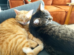 af1aefc0-3a52-46c7-8856-b5df2694b0de