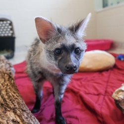 4b62fec9-b5ce-47a4-9401-211fcfaee513