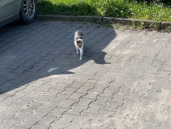 a5ed4058-e8ff-4e20-8f2c-7804d298e3d5