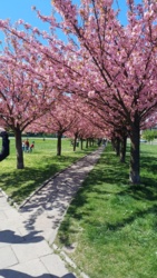 4b75a5b8-1f76-4391-85b9-ca416cd640b8