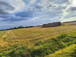 4b304486-1ee4-4130-8a86-13e4ccdbe2d6