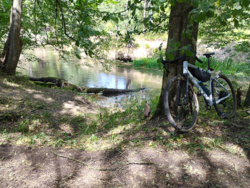 33cec4d2-f8cb-4d79-bcc7-cf896878e6ff