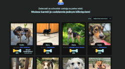 c1dbd917-aff1-4a54-aeee-9d90091dc96d