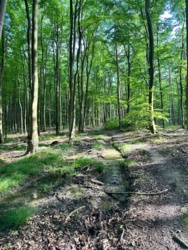 15d773bb-33e4-409b-a07d-ca749813ccc8