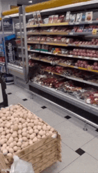 55c68067-a2a7-4e48-ad84-2139ad3ac014