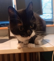 4e92a1b3-1a67-4d51-a12c-a5a5933ce672