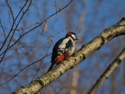 86aeb4dd-c542-40e1-a5df-c6e59da443cf