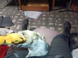 728cfabb-9cee-4327-b16a-e2538f5648ab