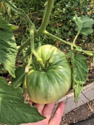 853a319e-bb05-4606-834a-ebf3b74e4edd