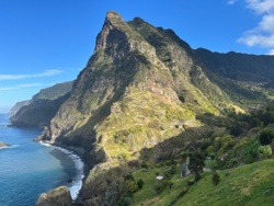 d425b411-ff5d-40d6-b4b4-bade9ac2453e