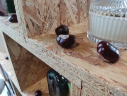 d38fb527-63eb-4117-8cee-728fe6c3d18c