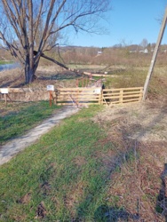 5f2acb4b-b254-46be-b5cc-d9d810547f59