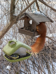 c17815f4-8806-44c7-9218-a1a7a38082f9