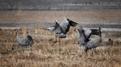 89f7cf63-330d-4a26-aeb3-df99b5a47a31