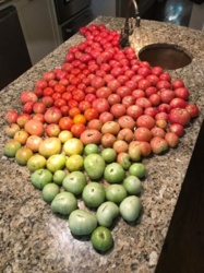 218a3a78-f2be-4fc4-9aa7-73b3c66ccc96