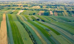 MRiRW: Drogie nawozy w Polsce odzwierciedlają ceny światowe