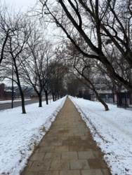 74d523ab-b3c4-469b-838d-ef723df83ced