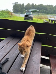 ca62bf03-9699-4e15-a52f-5639ba2d3a90