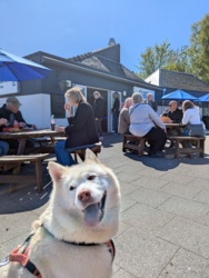 60c1111e-c8a8-42e7-bde0-86f7b1a49f5a