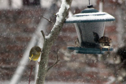 c34e8979-250a-4961-977e-66058691c23c